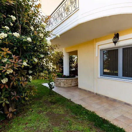 Elvis Nest * Nea Moudhania