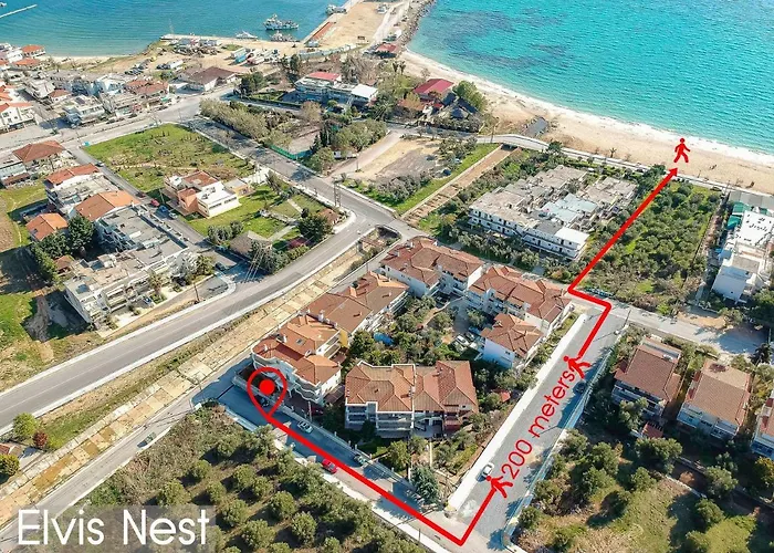 Elvis Nest 尼亚·蒙达尼亚