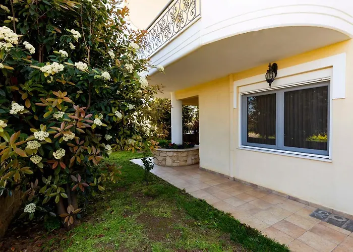 Elvis Nest * 尼亚·蒙达尼亚