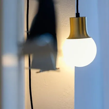 Elvis Nest ネア・ムダニア